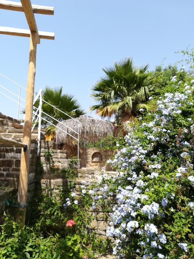 Lemon Tree Cottage Finikounda Exterior foto