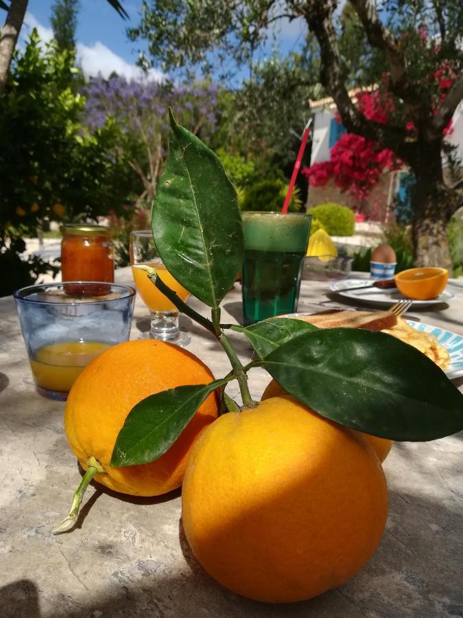 Lemon Tree Cottage Finikounda Exterior foto